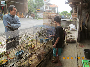 "Bird Seller" in Ubud.