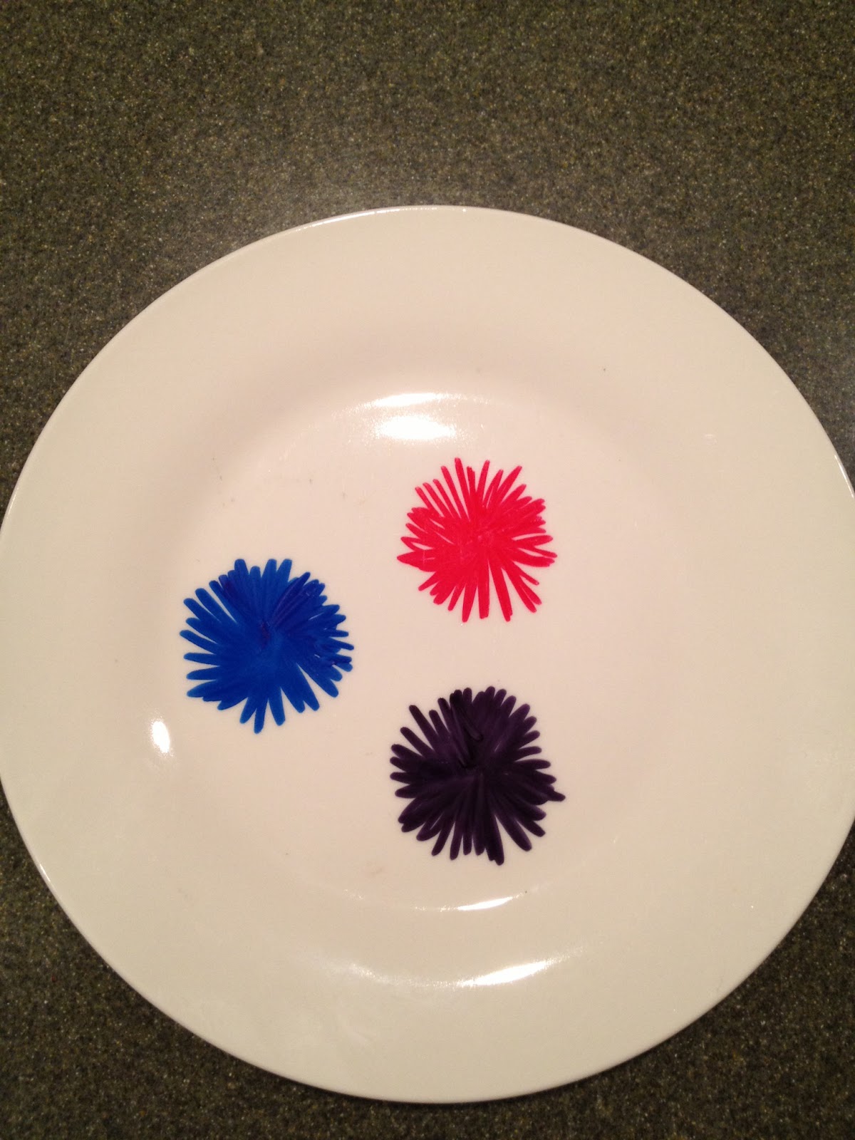 The DIY Guinea Pig Custom Plates With A Sharpie