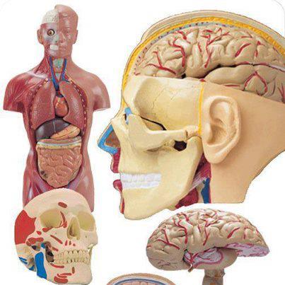 الموسوعة اكثر من 250 سؤال في الطب