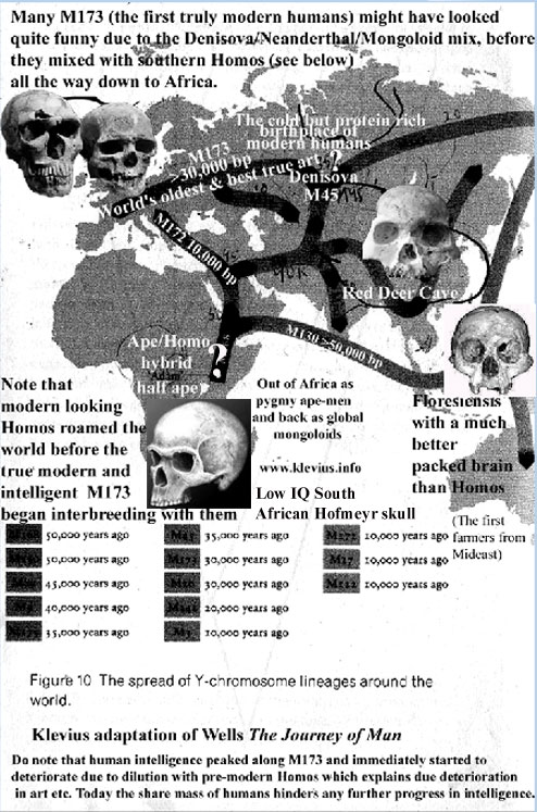 Modern, intelligent humans came out of Siberia