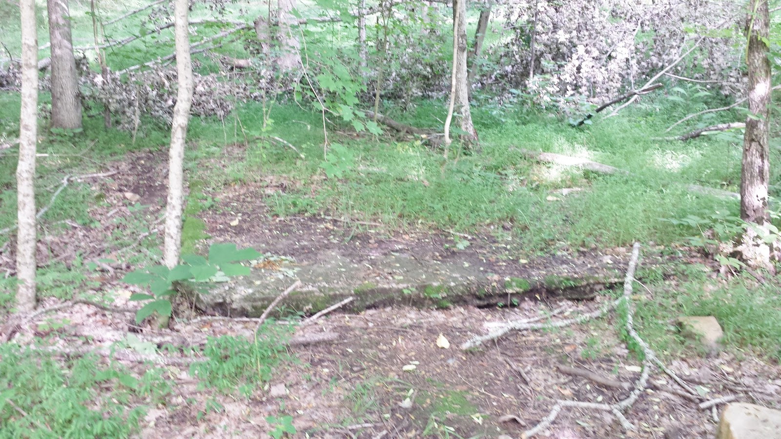 Then Now Movie Locations The Evil Dead 1981