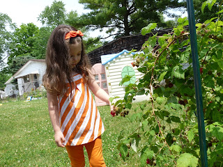zoe's lunchbox picking raspberries