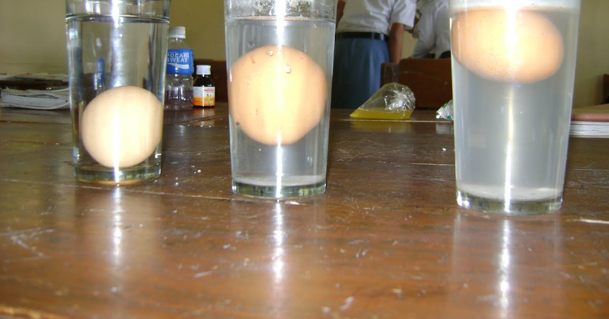 Hukum Archimedes | Potret Cerita