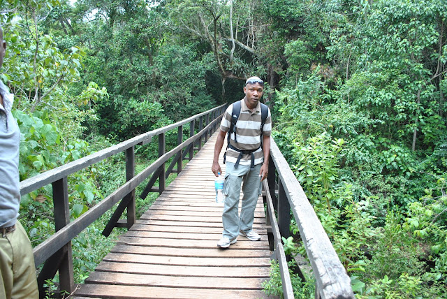 Marangu gate to Mandara hut