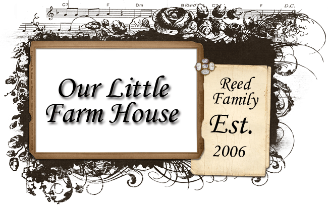 Our Little Farm House