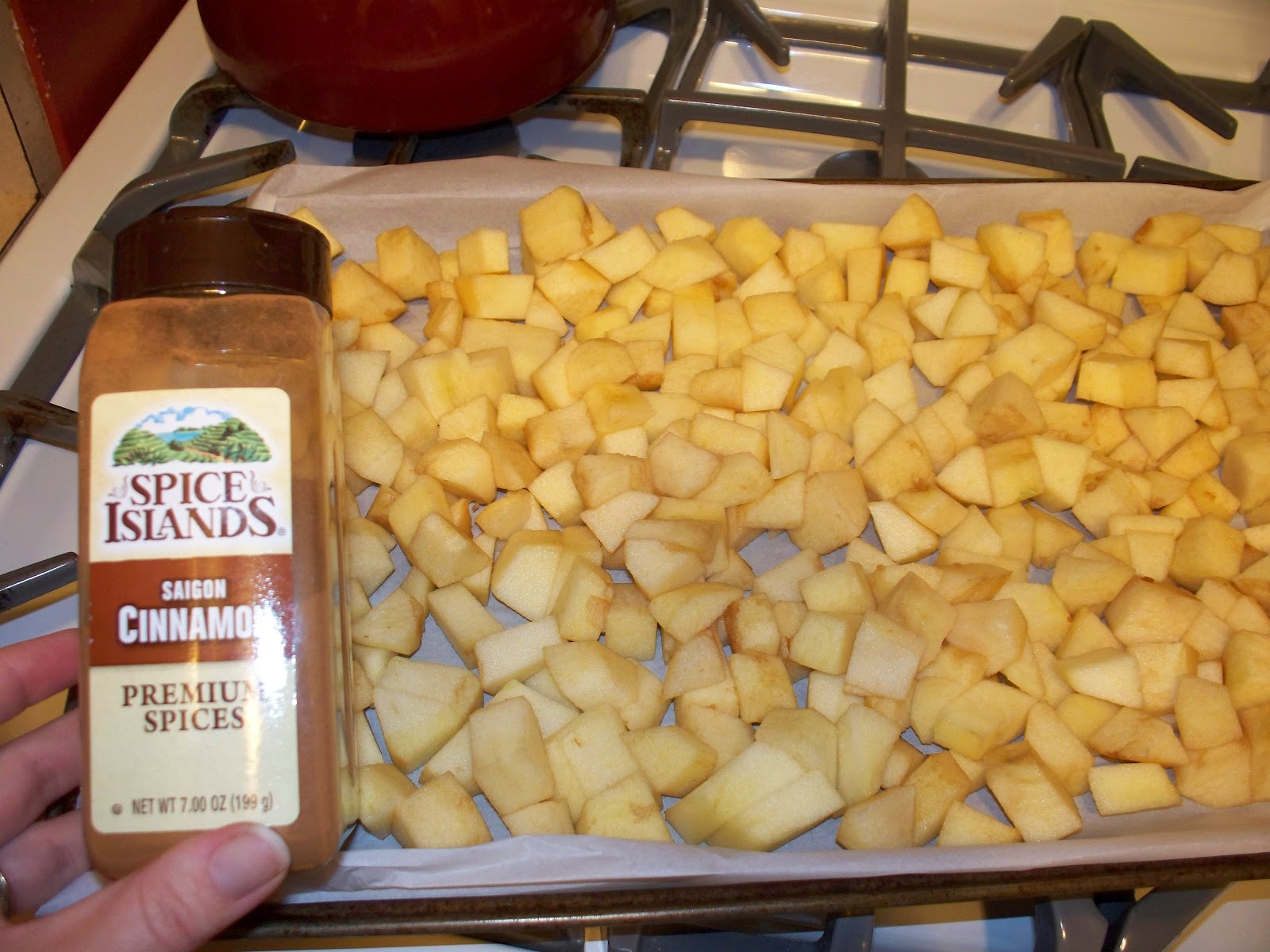 Molly's Lunch Box Salad Lunch with Homemade Applesauce and Recipe