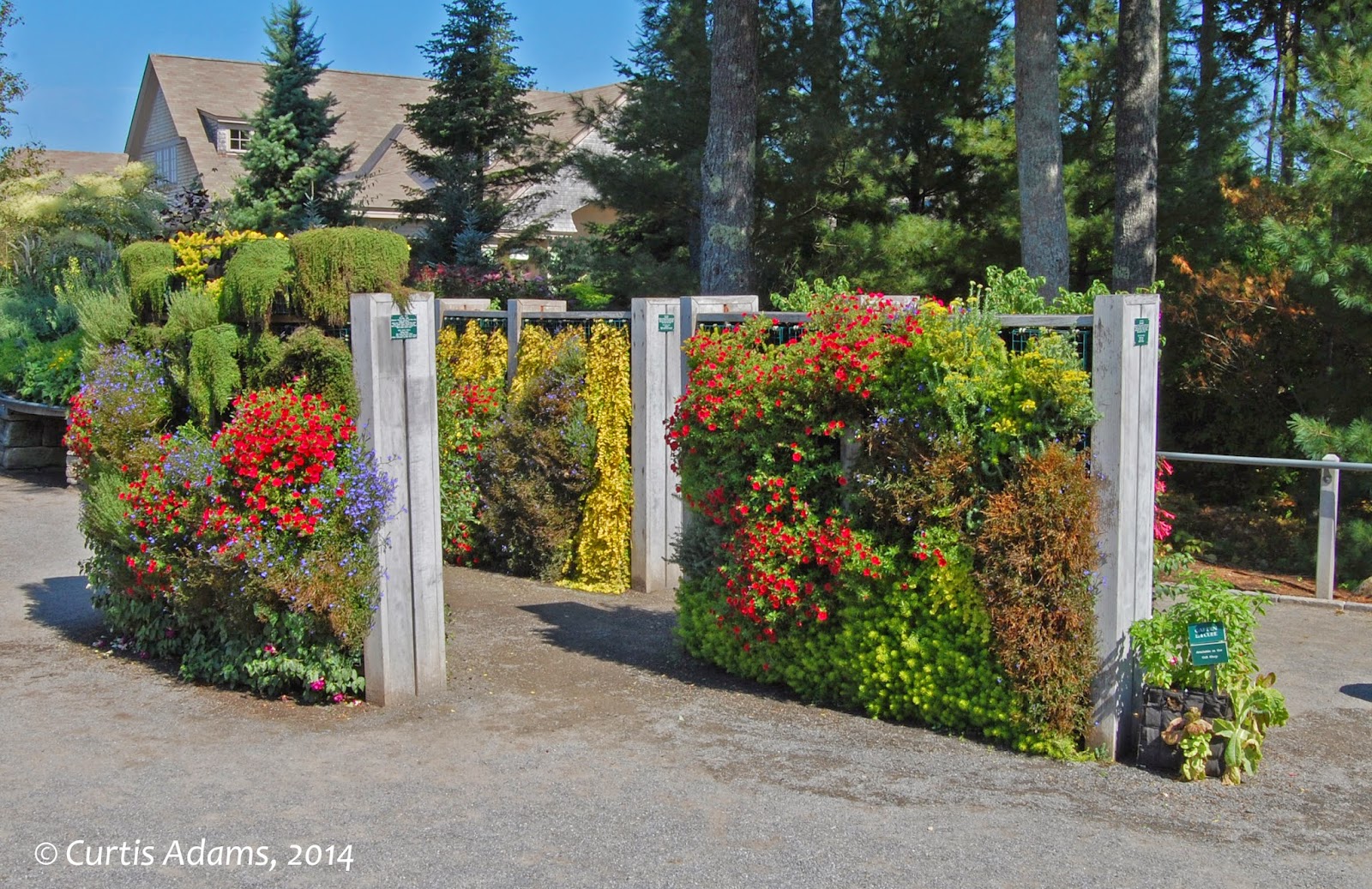 Native Plants with Adams Garden Visit to Coastal Maine Botanic Garden