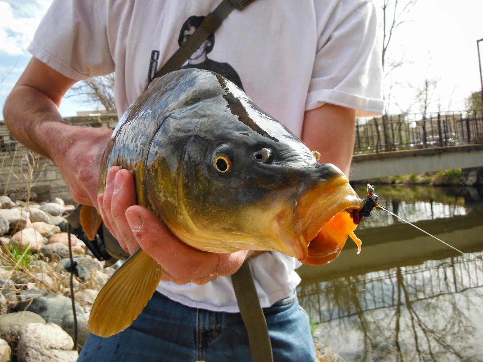 The Young Man And The Stream T Shirts And Bottom Feeders