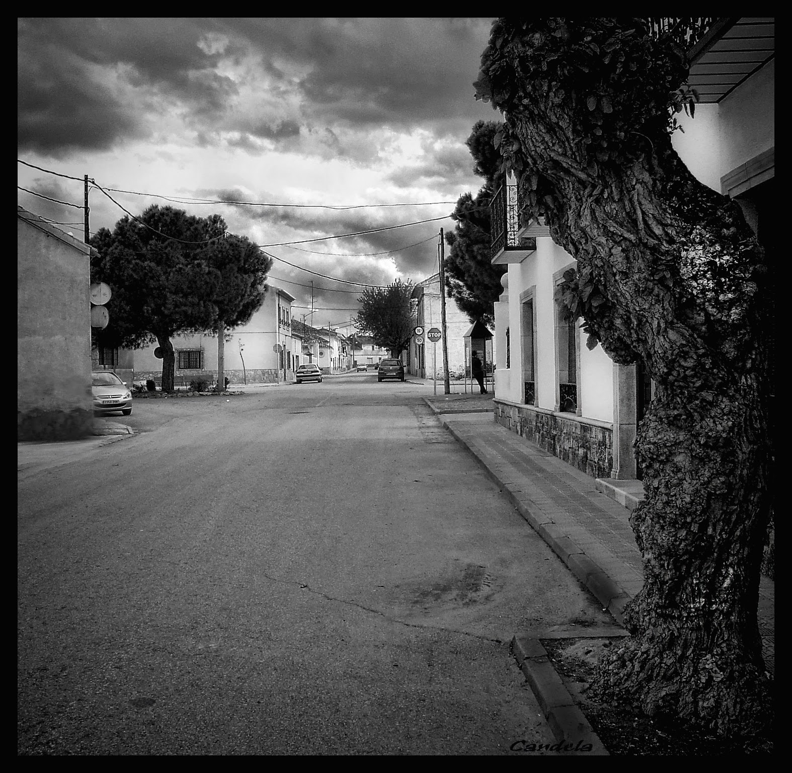 LOPÉZ CATALÁN FOTOGRAFÍA CALLES DE CASAS DE HARO.