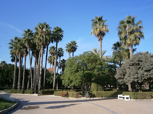Parque de la Alquenéncia de Alzira