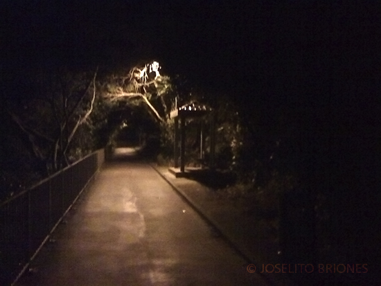 bowen road hong kong at night