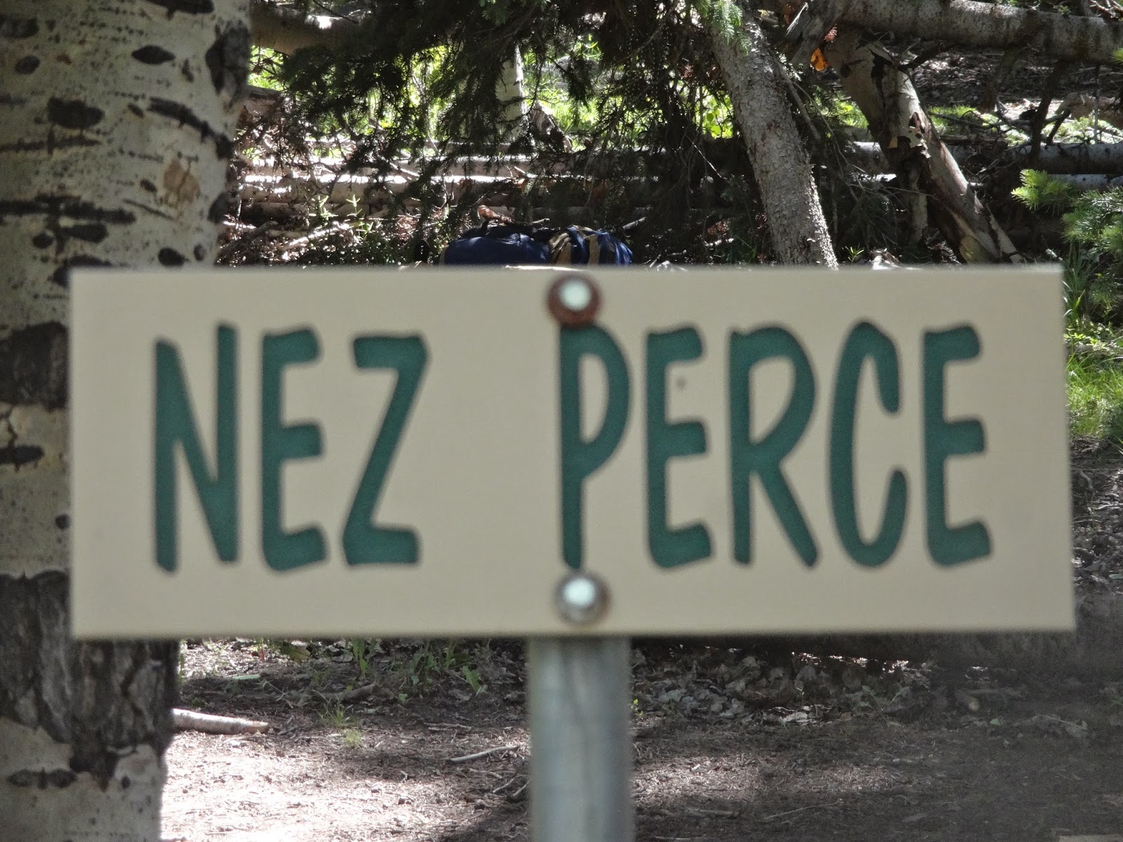 Santa Clara BSA Troop 1882 Thunder Ridge Scout Camp