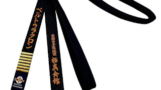 Kyokushin - Kyokushin Karate Belts - Karate Choices