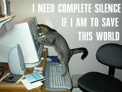 Random pics. Lol.cat.2