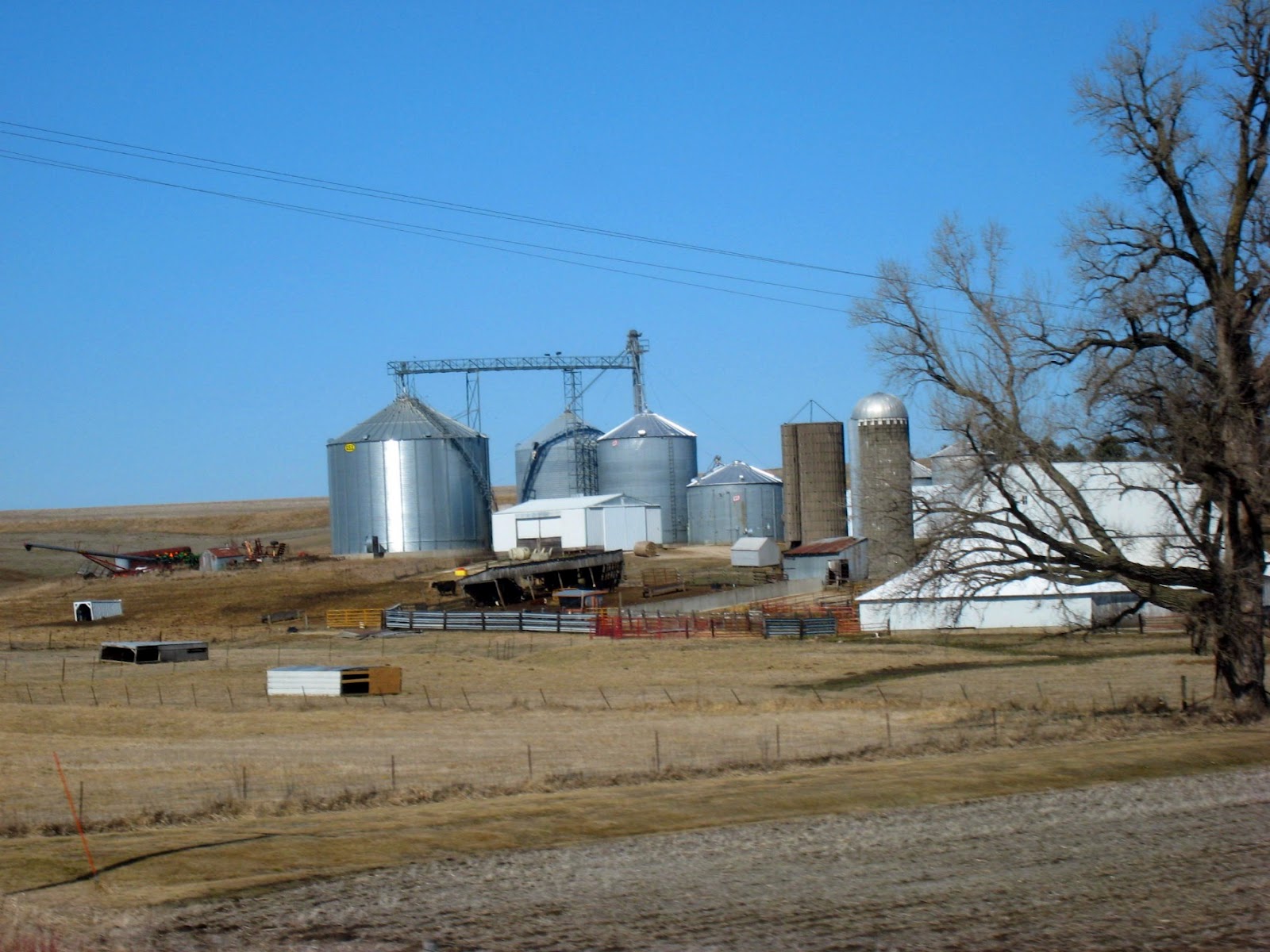 Under the Desert Sky 03/01/2012 04/01/2012