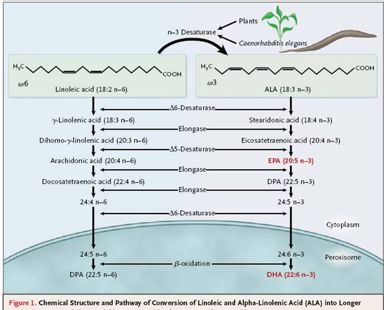 Phimaimedicine 1,190. n3 Fatty acids in cardiovascular disease