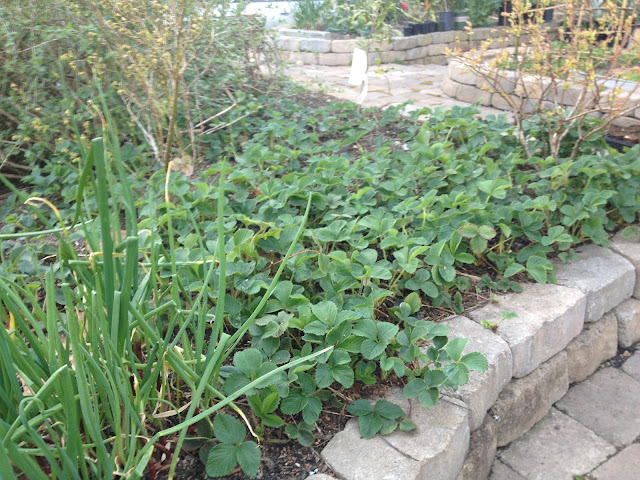 Leeann Lavin S Blog Page 4