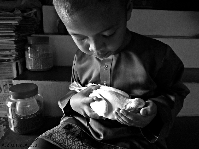 Compact Camera, Best Photo of the Day in Emphoka by Azura Abu, Canon PowerShot A2200, https://flic.kr/p/oivb1V Compact Camera, Best Photo of the Day in Emphoka by Azura Abu, Canon PowerShot A2200, https://flic.kr/p/oivb1V