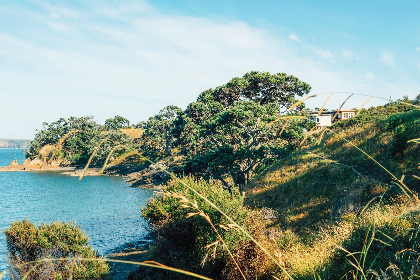 Waiheke Island New Zealand