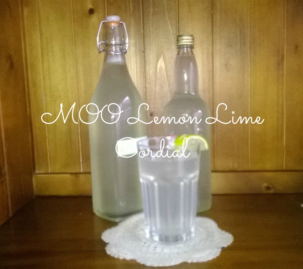 Debt Free, Cashed Up and Laughing The Cheapskates way to living the