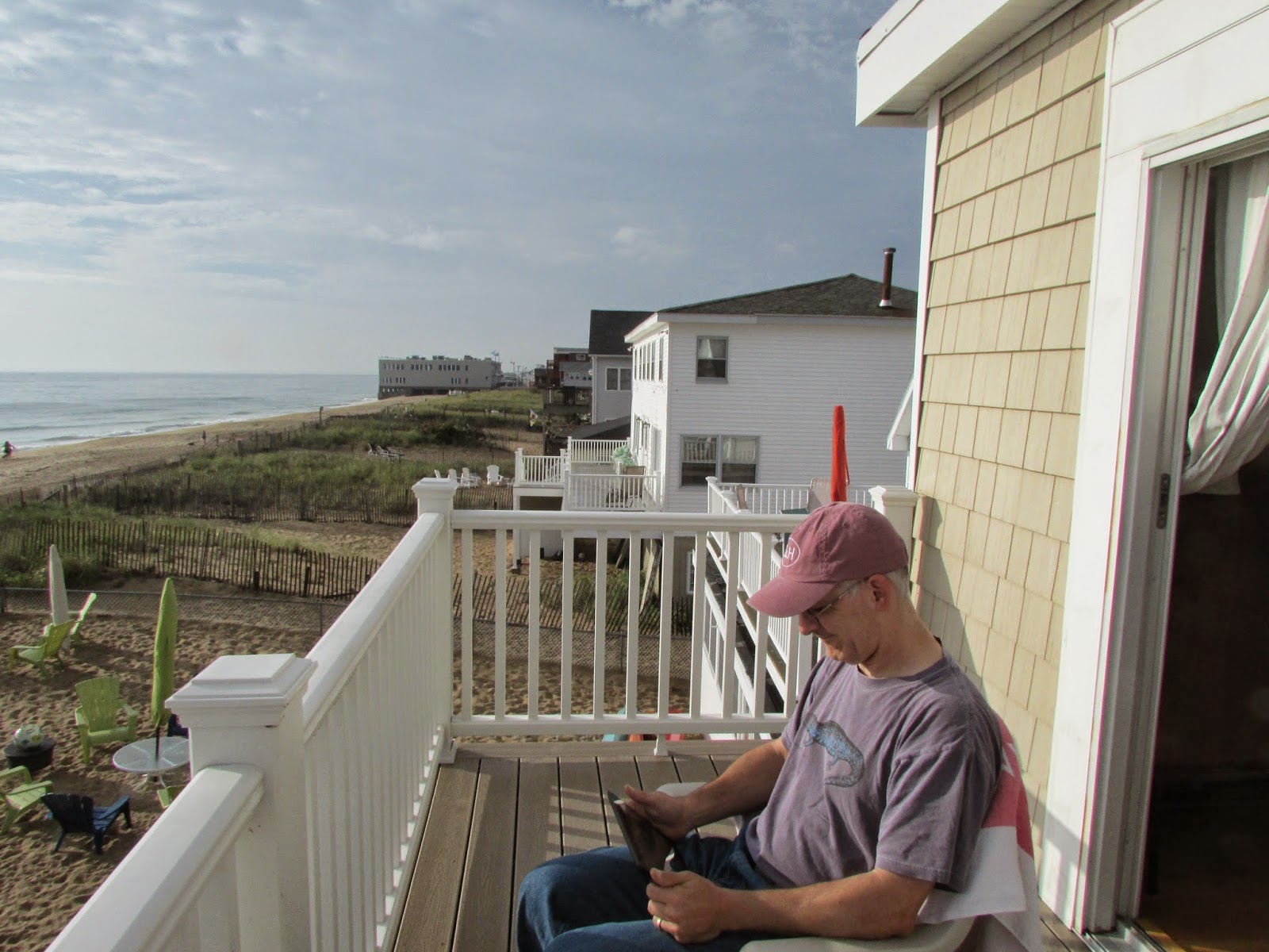 Does Salisbury Beach Allow Dogs