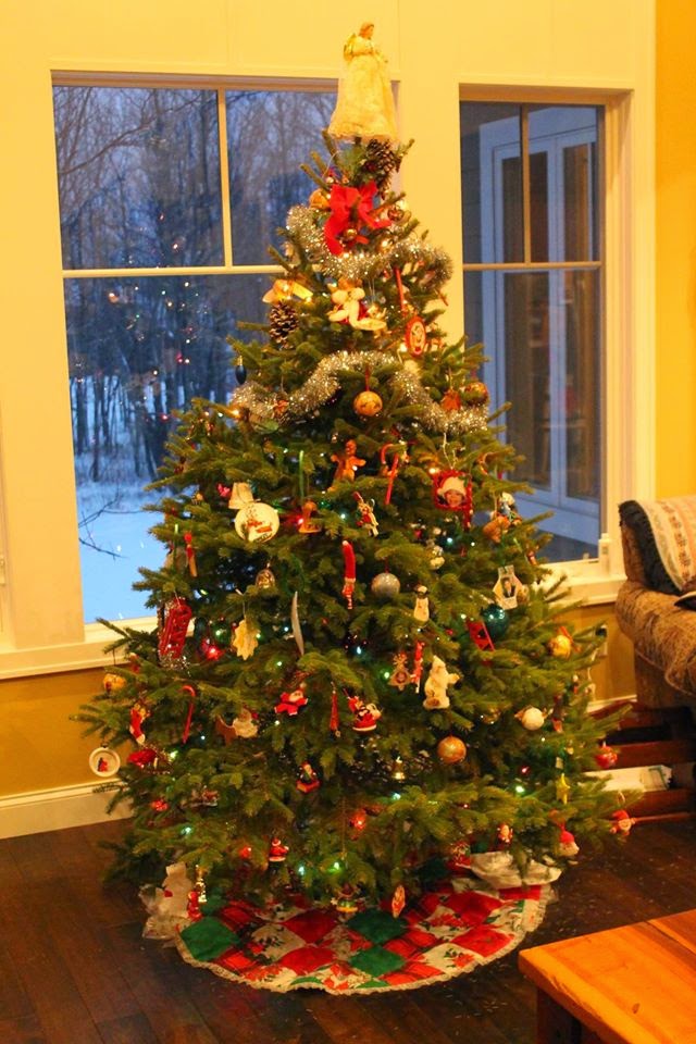 Likeness in a Change of Scenery Visiting a Minnesota Christmas Tree Farm