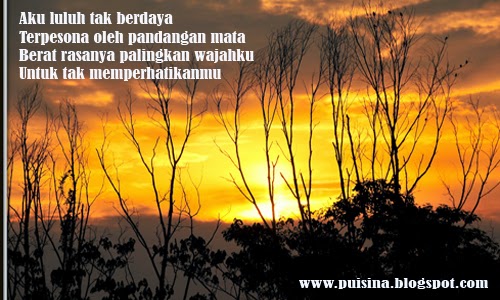 Puisi Cinta Pada Bola Mata Puisi Cinta Pada Bola Mata