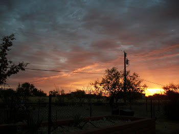 Sunrise over the Chiracauhua Mtns.