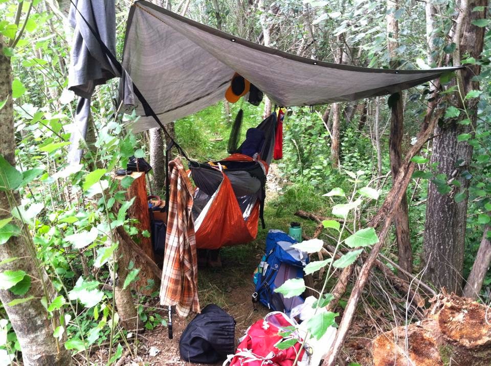 New Zealand Rainbow Gathering