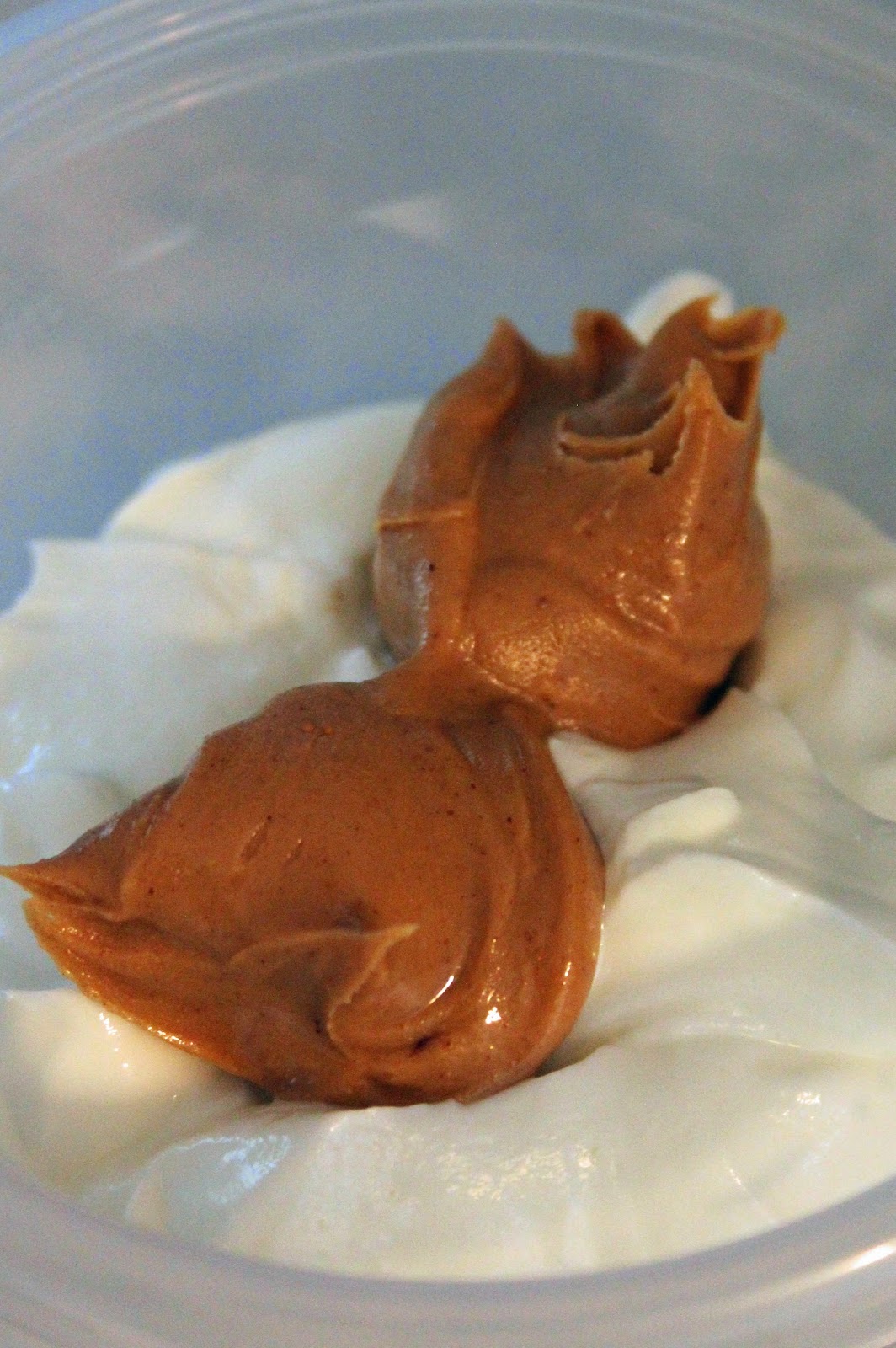 Jo and Sue Skinny Peanut Butter Cookie Dough Shake