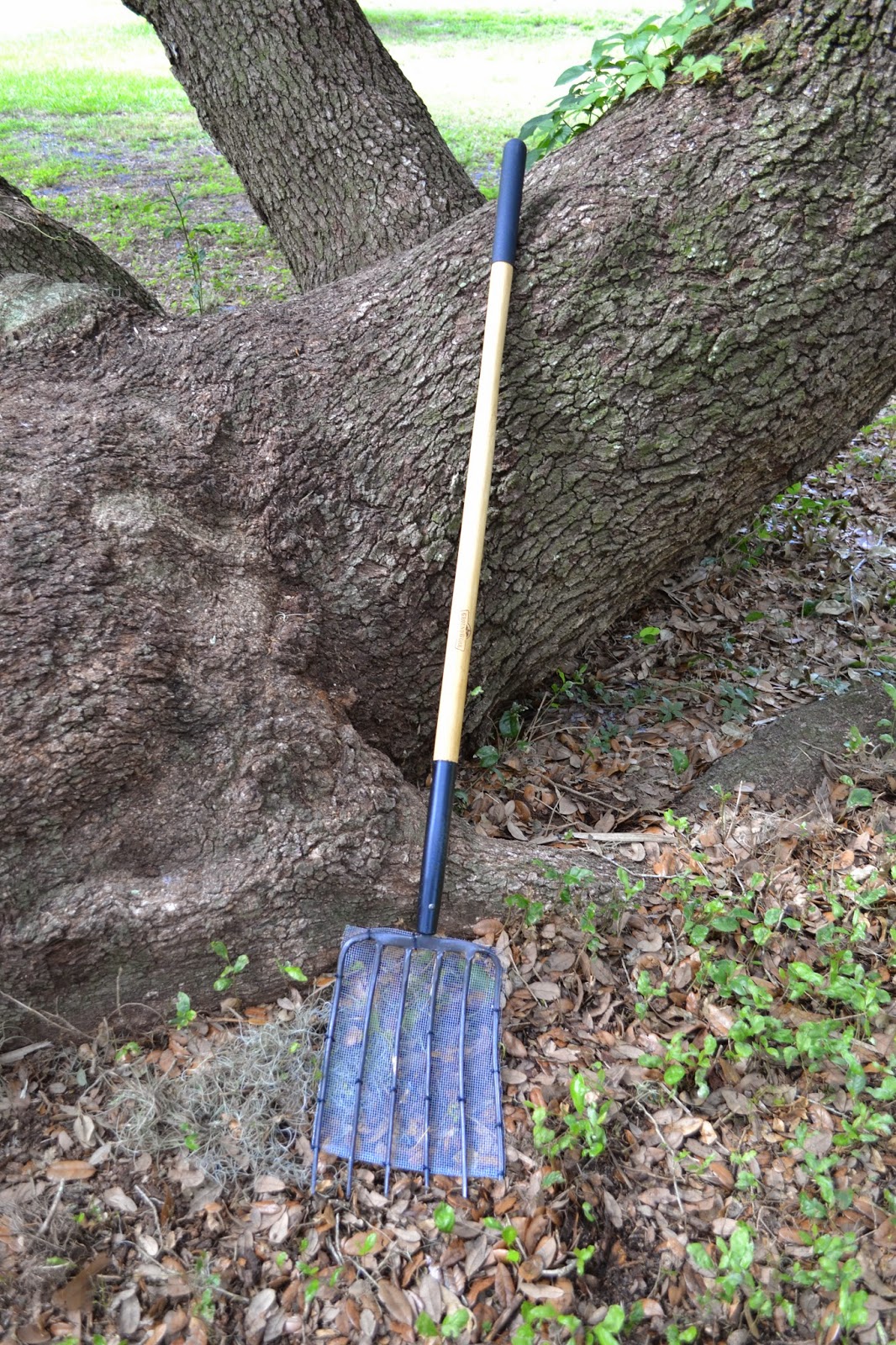 I Heart Decorating Poop Hammocks & Coop Cleaning