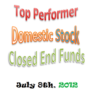YTD Top Performer Domestic Stock CEFs logo