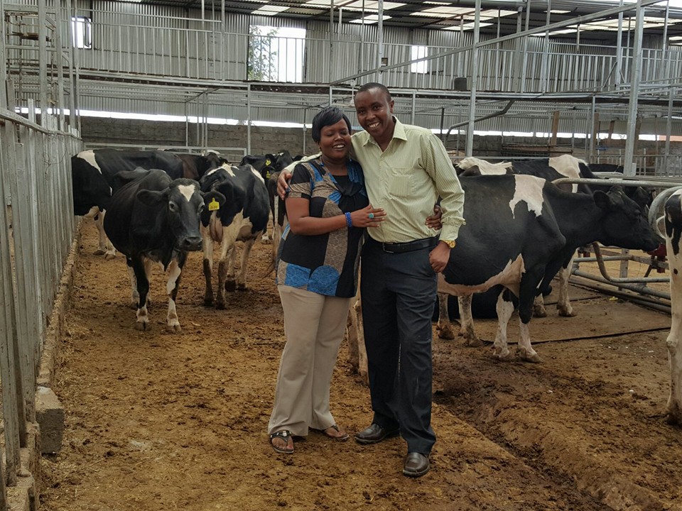 Rich Farm Tassels Dairy Farm in Photos Arguably the Largest and Most