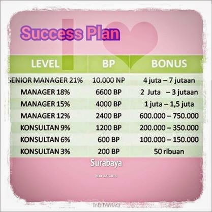 Success Plan Oriflame
