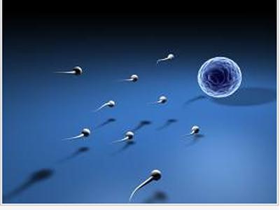 Berita Terkini Terbaru - Hal Yang Membuat Sperma Berkualitas Agar Istri Cepat Hamil Punya Anak - Berita hot hari ini