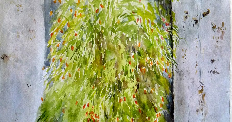 Carmen Jiménez - Acuarelas: PLANTA EN HORNACINA