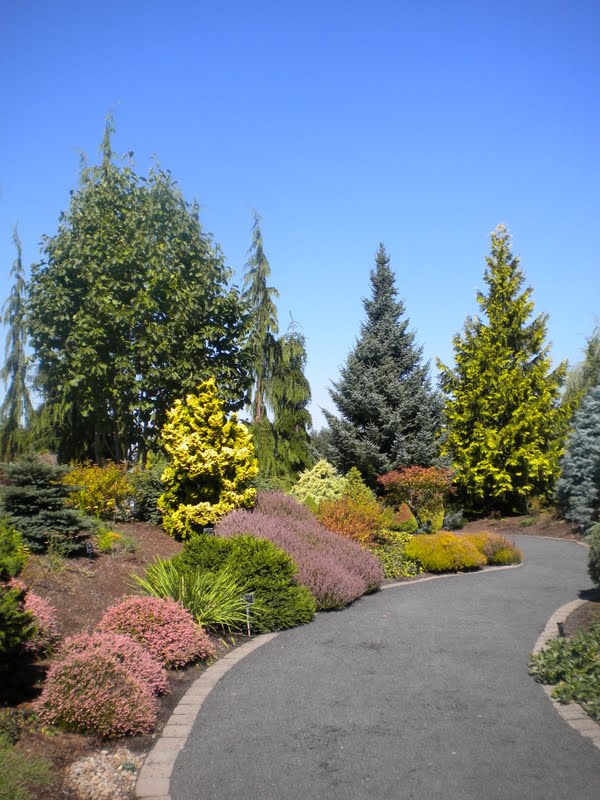 Rindy Mae: The Oregon Gardens