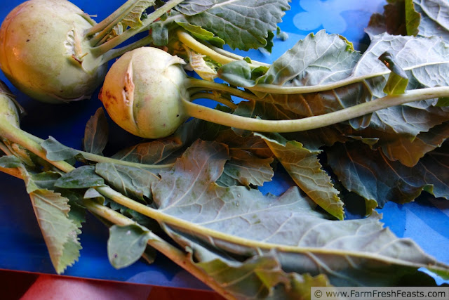 http://www.farmfreshfeasts.com/2013/01/kohlrabi-greens-manchego-potato-and.html