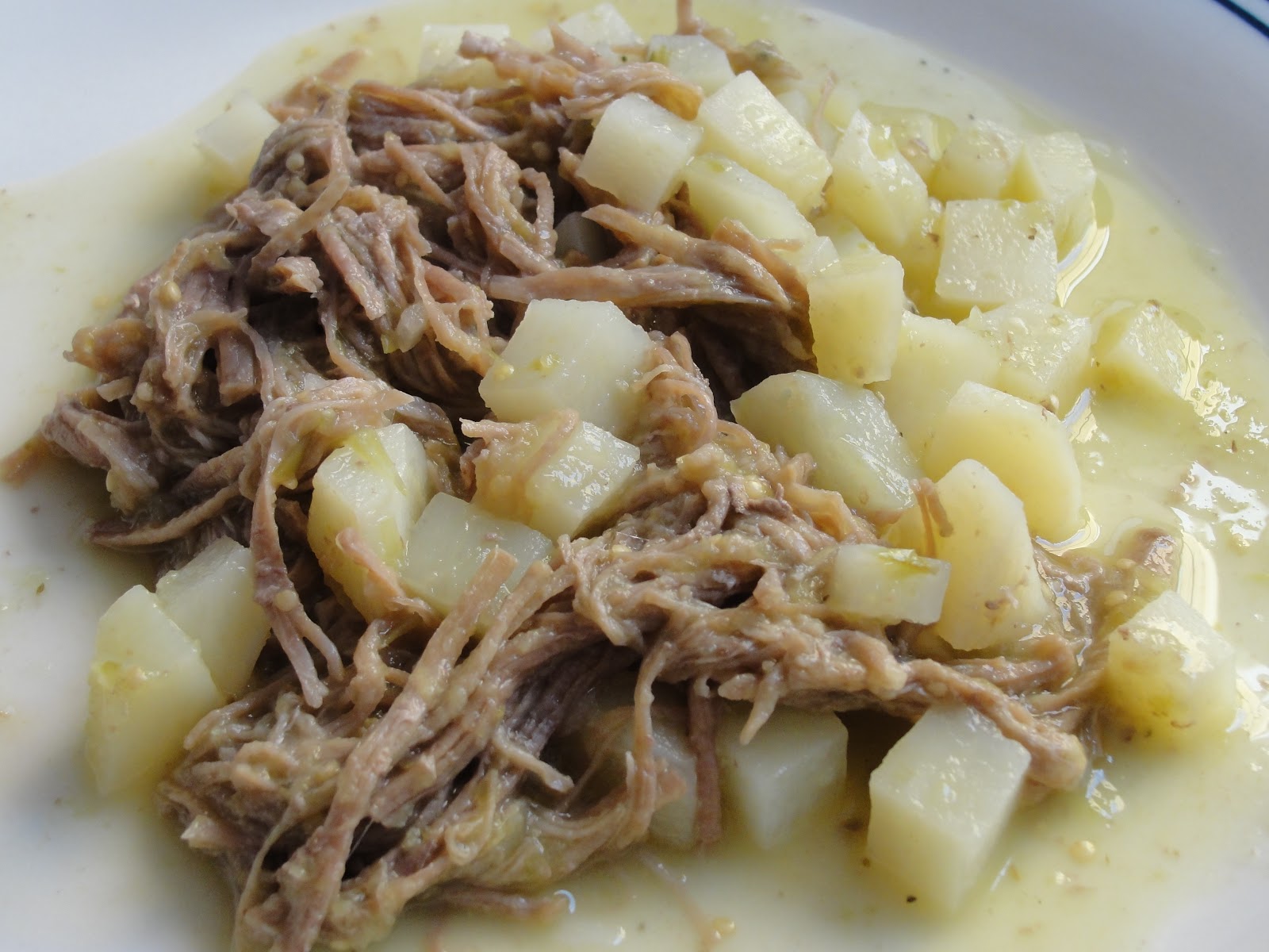 DISFRUTA COCINAR CARNE DESHEBRADA EN SALSA VERDE