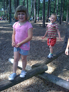 balancing beam - log obstacle in hundred acre wood