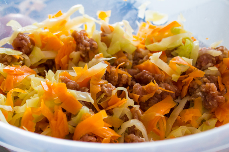 Svelte salivations Chinese Dumplings with Pork and Cabbage Jiaozi 餃子