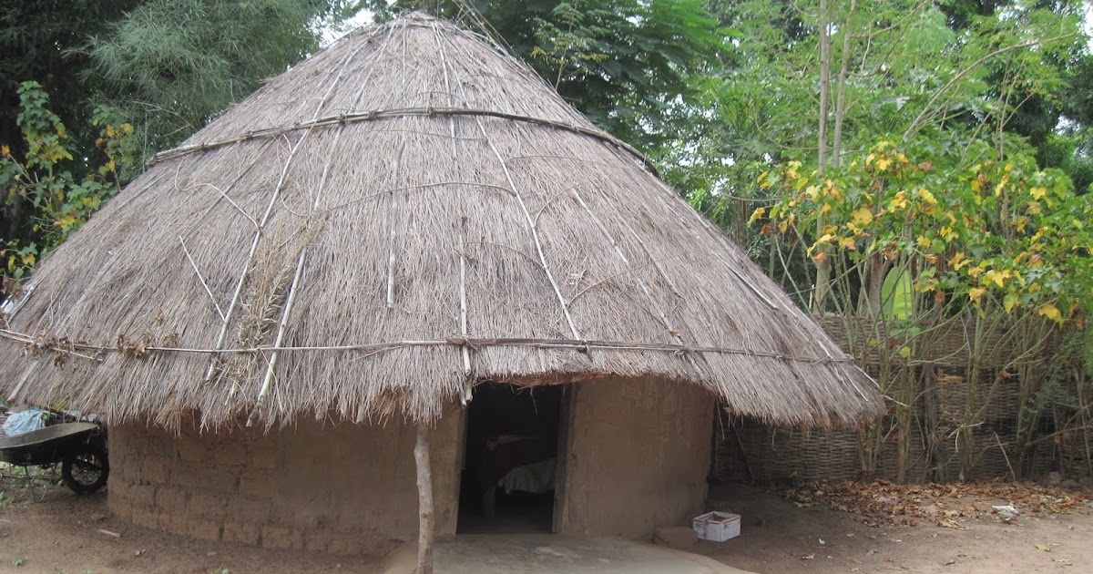 Adventures of an Audacious Agriculture Agent HutSweetHut