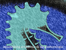 Aquanesting, Accademia di Idroposturologia