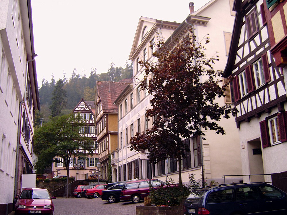 Stadtbesichtigungen Dresden Kunstwerke Aus Der Gemaldegalerie