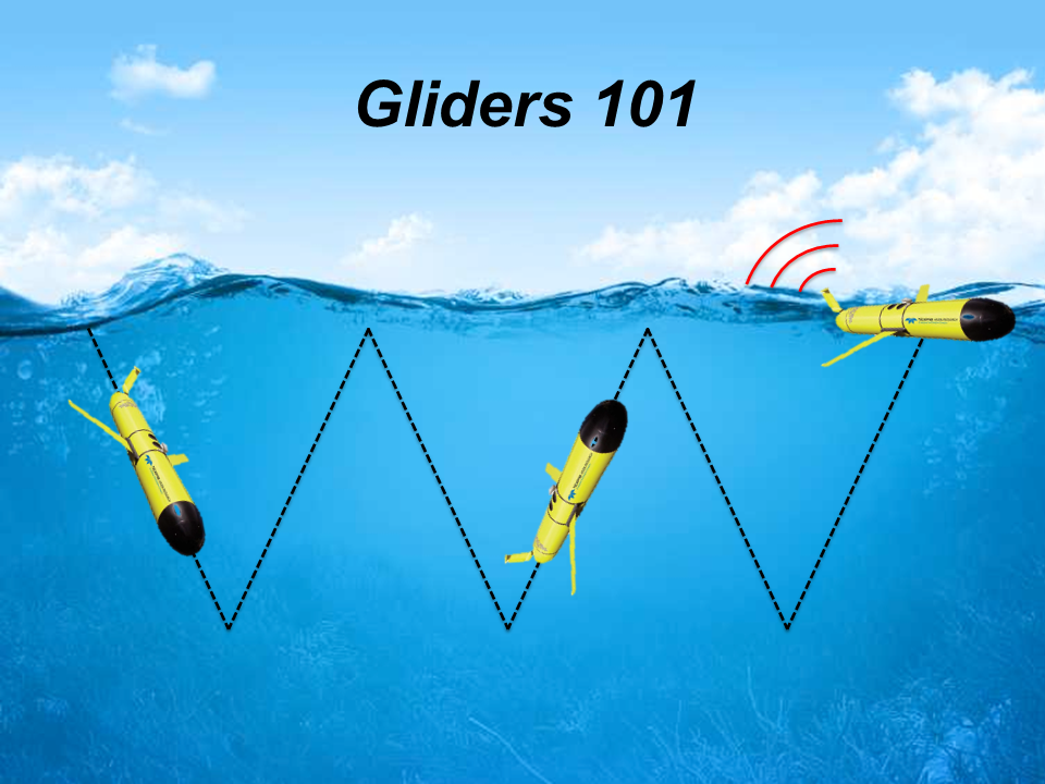 VITALS Gliders What are gliders?
