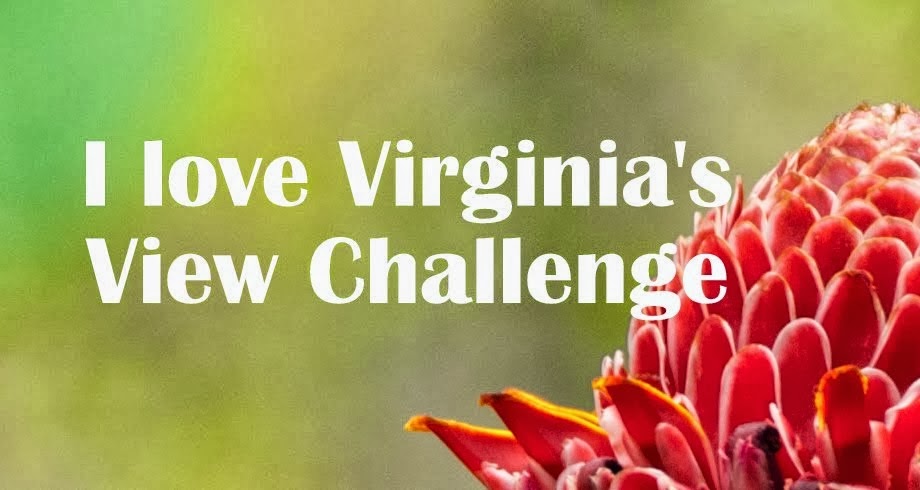 virginia's challenge