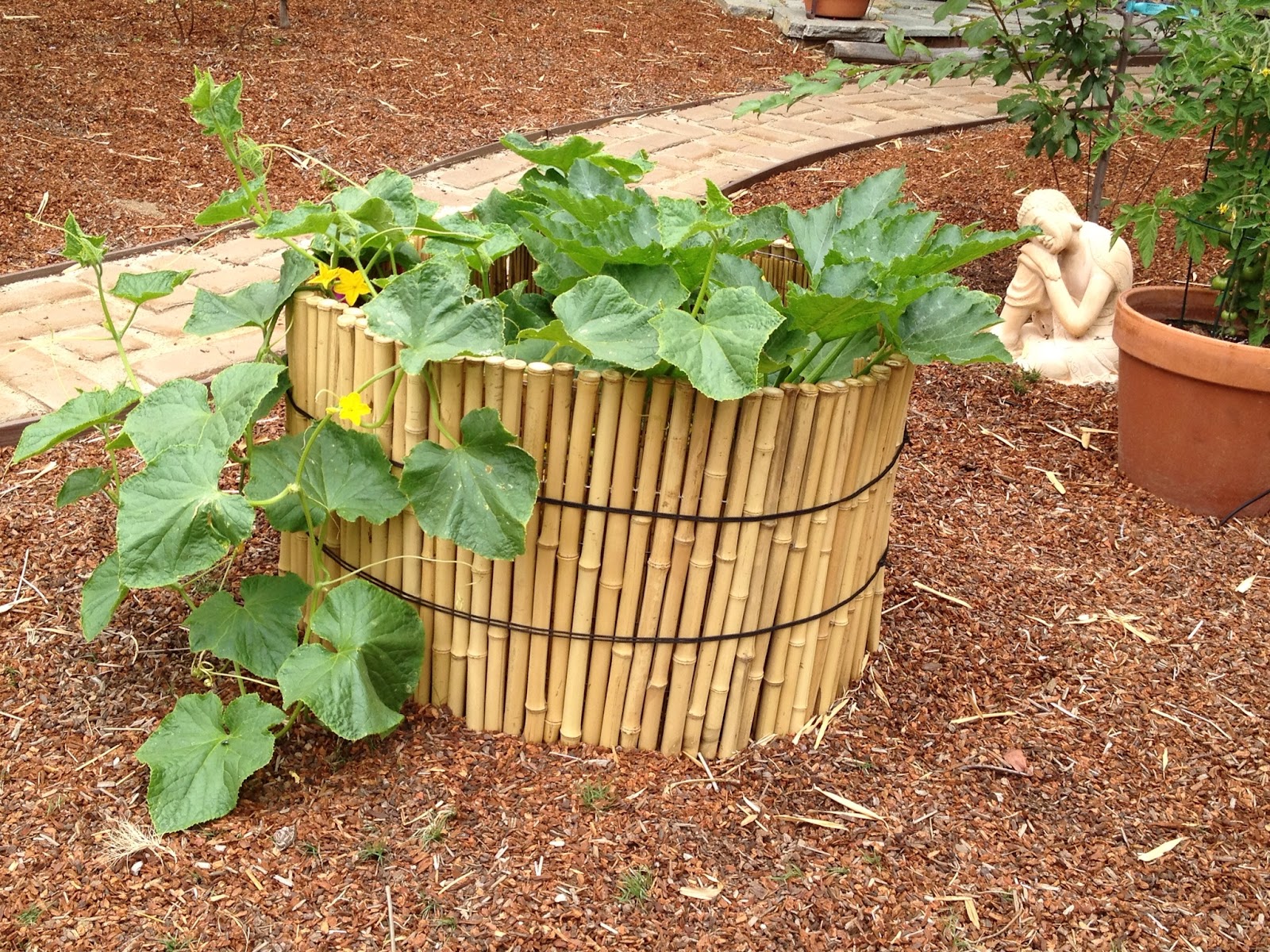 The Gardener S Footsteps Garden Pods Installed And Planted