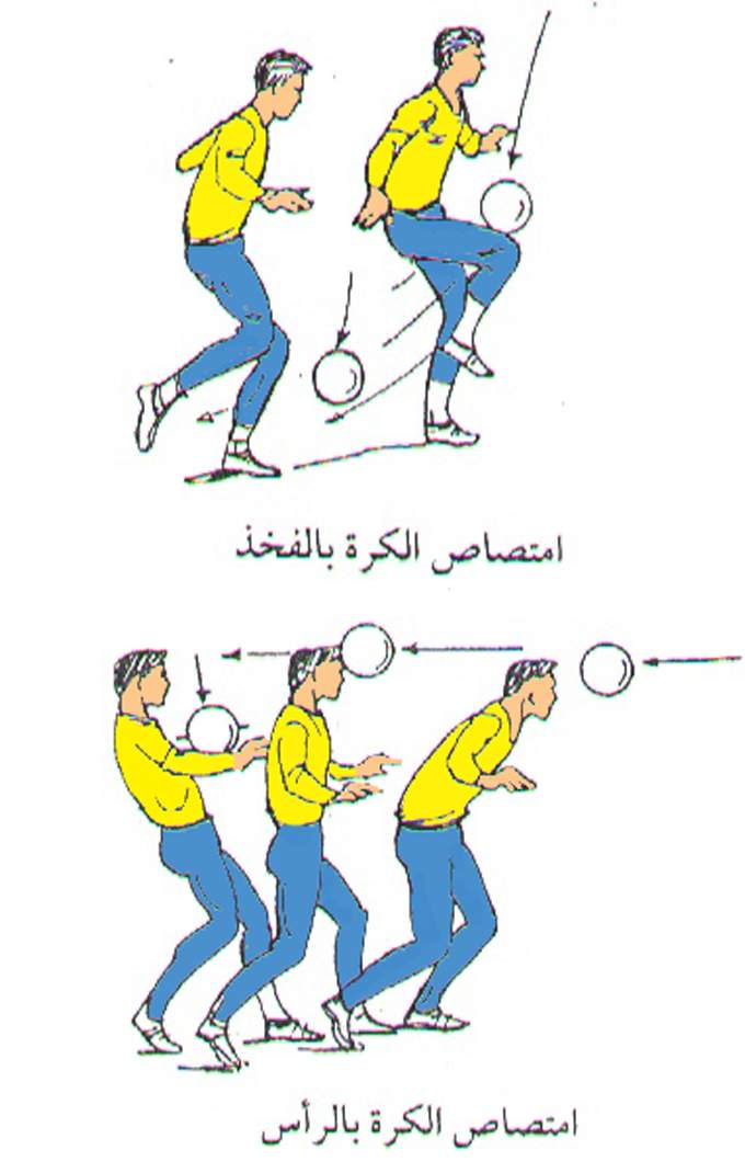 الكرة التوازن ضرب الذراعان بالرأس بخفة رفع لحفظ جانباً بعد يتم المهارات الاساسية