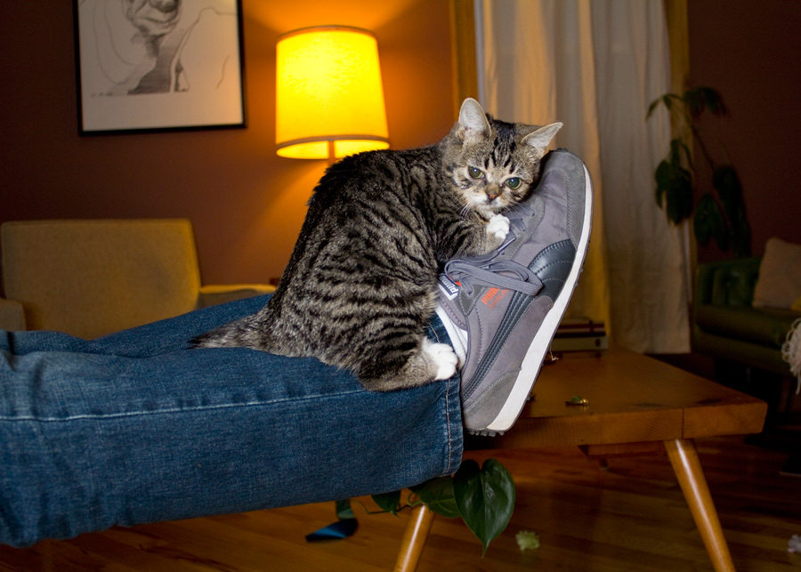 Michael Bub - Home Facebook