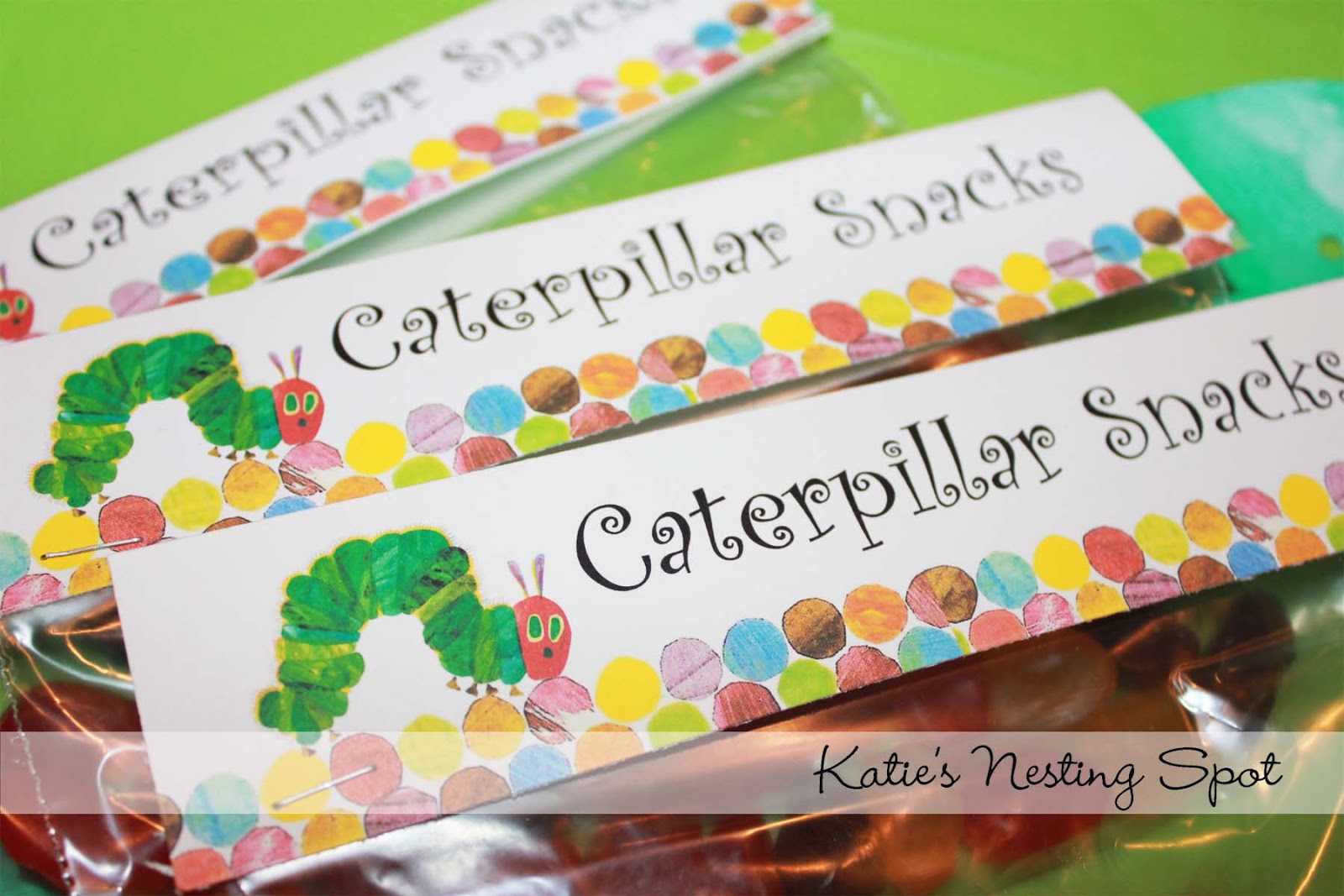 Katie's Nesting Spot A Very Hungry Caterpillar Birthday Party